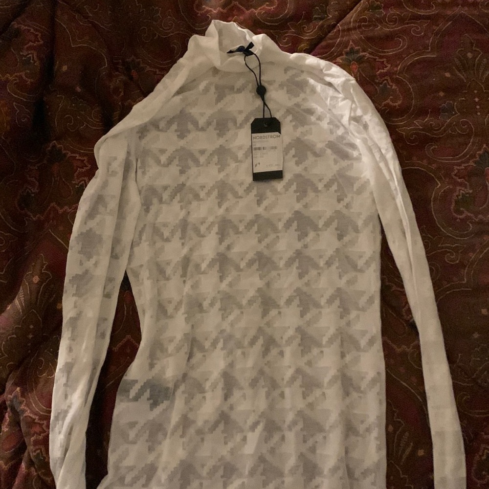 Rag and bone sheer turtleneck